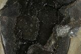 Septarian Dragon Egg Geode - Black Crystals #172803-3